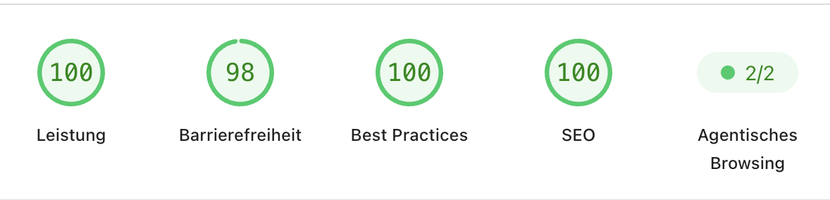 Google-Lighthouse-Messung: Leistung 100, Barrierefreiheit 98, Best Practices 100, SEO 100